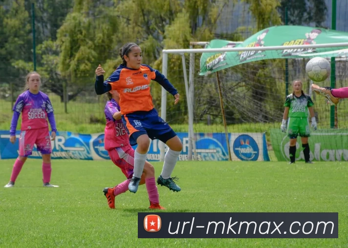 MK体育服务体系