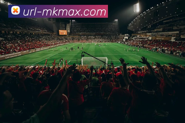 MK体育APP 封面图